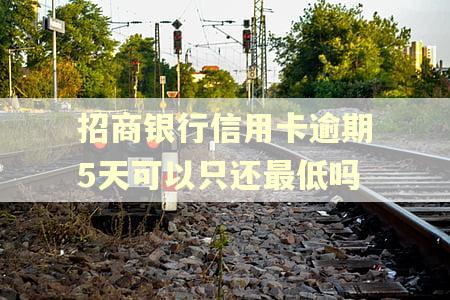 招商银行信用卡逾期5天可以只还最低吗
