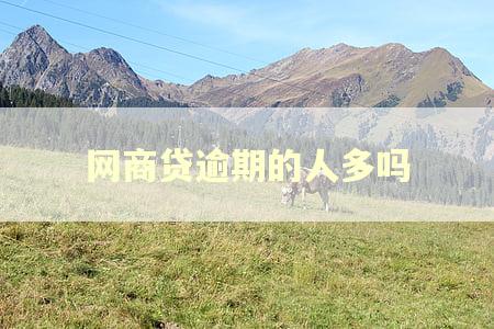 网商贷逾期的人多吗