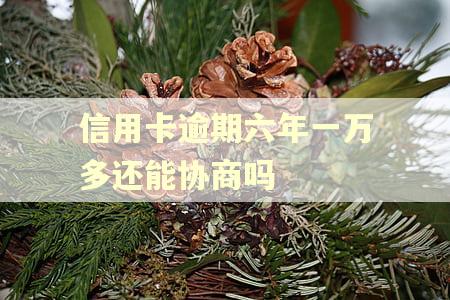 信用卡逾期六年一万多还能协商吗