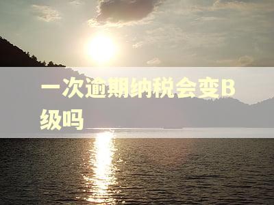 一次逾期纳税会变B级吗
