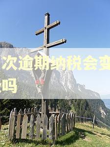一次逾期纳税会变B级吗 一次逾期纳税会变B级吗