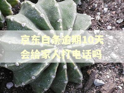 京东白条逾期10天会给家人打电话吗 京东白条逾期10天会给家人打电话吗