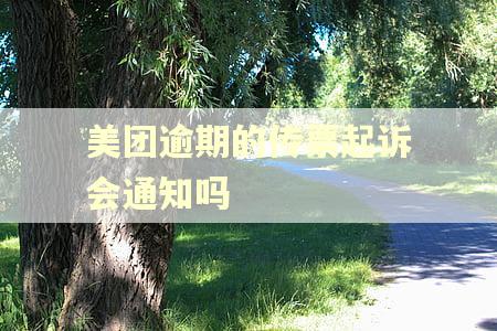 美团逾期的传票起诉会通知吗