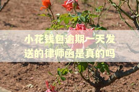 小花钱包逾期一天发送的律师函是真的吗