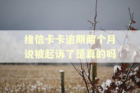 维信卡卡逾期两个月说被起诉了是真的吗