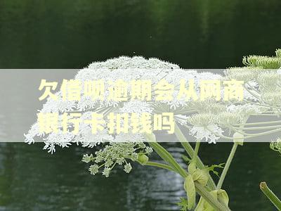 欠借呗逾期会从网商银行卡扣钱吗