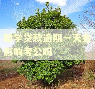 助学贷款逾期一天会影响考公吗