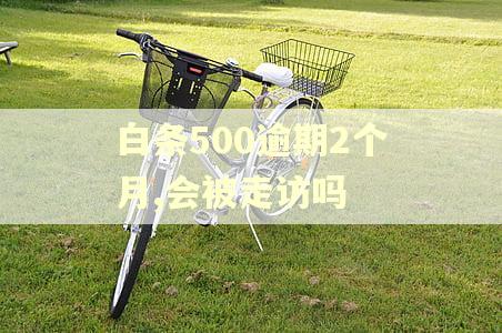 白条500逾期2个月,会被走访吗