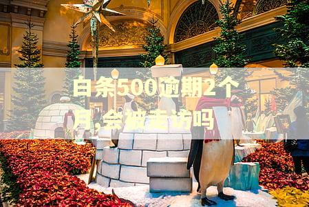 白条500逾期2个月,会被走访吗