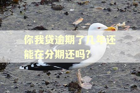 你我贷逾期了几年还能在分期还吗?
