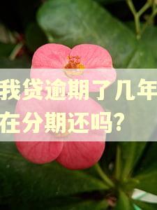 你我贷逾期了几年还能在分期还吗? 你我贷逾期了几年还能在分期还吗?