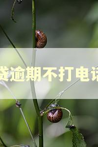 网贷逾期不打电话吗