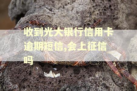 收到光大银行信用卡逾期短信,会上征信吗