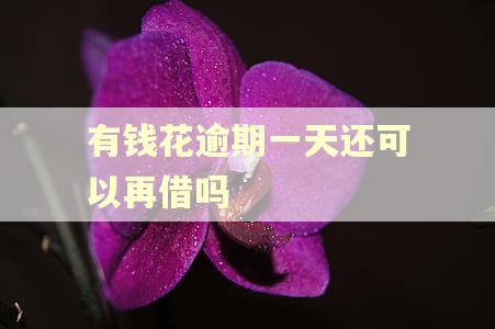 有钱花逾期一天还可以再借吗