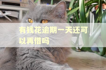 有钱花逾期一天还可以再借吗 有钱花逾期一天还可以再借吗