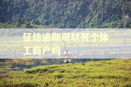 征信逾期可以开个体工商户吗