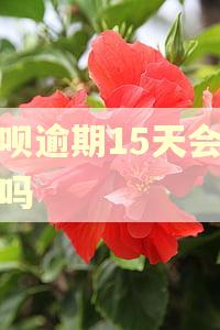 借呗逾期15天会催收吗