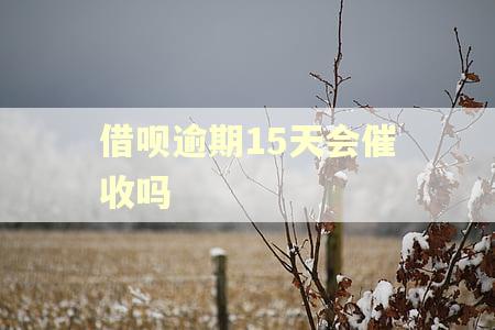 借呗逾期15天会催收吗