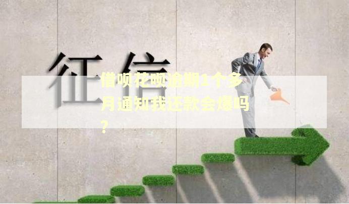 借呗花呗逾期1个多月通知我还款会爆吗?