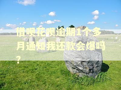 借呗花呗逾期1个多月通知我还款会爆吗? 借呗花呗逾期1个多月通知我还款会爆吗?