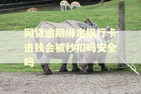 网贷逾期绑定银行卡进钱会被秒扣吗安全吗