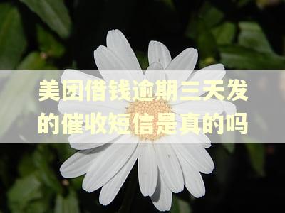 美团借钱逾期三天发的催收短信是真的吗