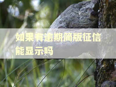 如果有逾期简版征信能显示吗 如果有逾期简版征信能显示吗