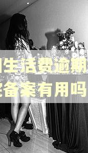 美团生活费逾期提交法院备案有用吗