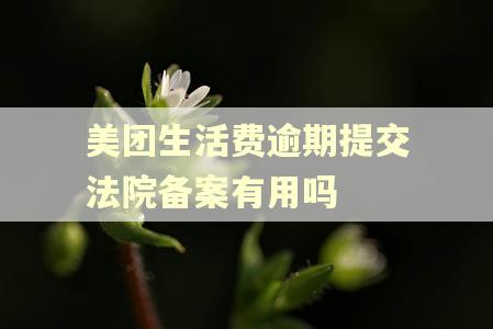 美团生活费逾期提交法院备案有用吗 美团生活费逾期提交法院备案有用吗