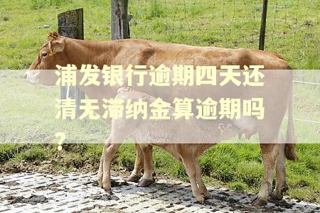 浦发银行逾期四天还清无滞纳金算逾期吗?