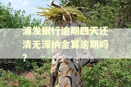 浦发银行逾期四天还清无滞纳金算逾期吗?