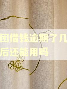 美团借钱逾期了几天以后还能用吗
