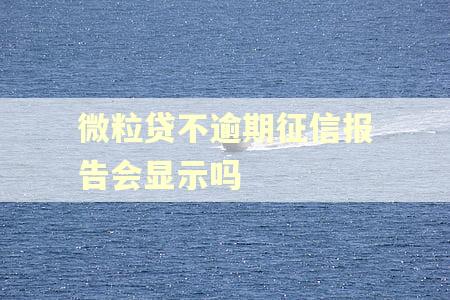 微粒贷不逾期征信报告会显示吗