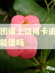 美团借上信用卡逾期还能借吗