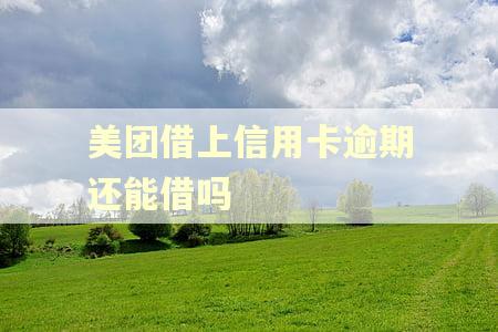 美团借上信用卡逾期还能借吗