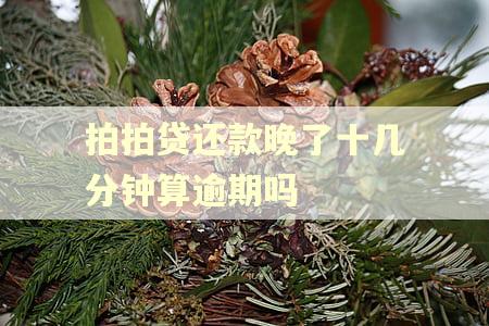 拍拍贷还款晚了十几分钟算逾期吗