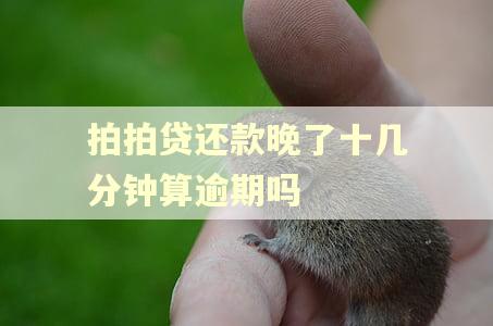 拍拍贷还款晚了十几分钟算逾期吗