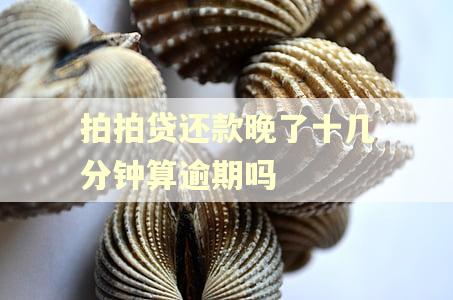拍拍贷还款晚了十几分钟算逾期吗 拍拍贷还款晚了十几分钟算逾期吗