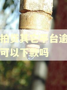 拍拍贷其它平台逾期了可以下款吗