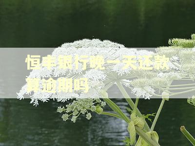 恒丰银行晚一天还款算逾期吗