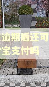 花呗逾期后还可以用支付宝支付吗