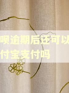 花呗逾期后还可以用支付宝支付吗 花呗逾期后还可以用支付宝支付吗