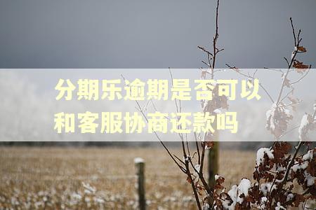 分期乐逾期是否可以和客服协商还款吗 分期乐逾期是否可以和客服协商还款吗
