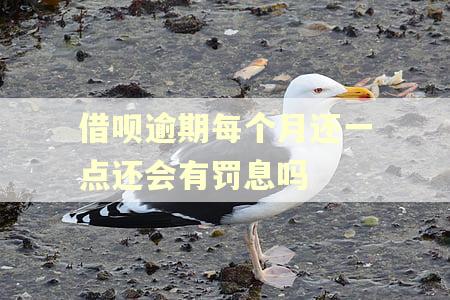 借呗逾期每个月还一点还会有罚息吗