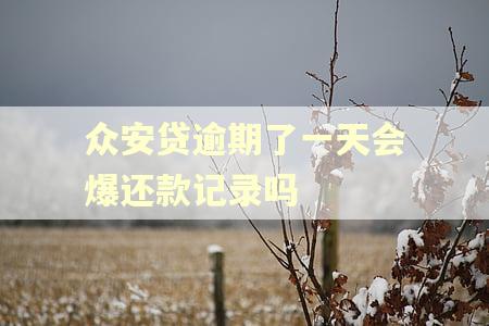 众安贷逾期了一天会爆还款记录吗