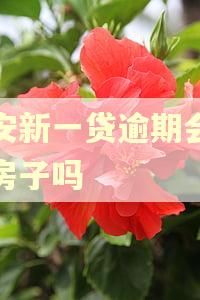 平安新一贷逾期会冻结房子吗