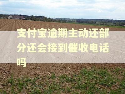 支付宝逾期主动还部分还会接到催收电话吗