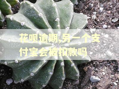花呗逾期,另一个支付宝会被扣款吗