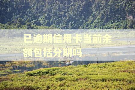 已逾期信用卡当前余额包括分期吗