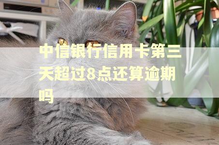 中信银行信用卡第三天超过8点还算逾期吗